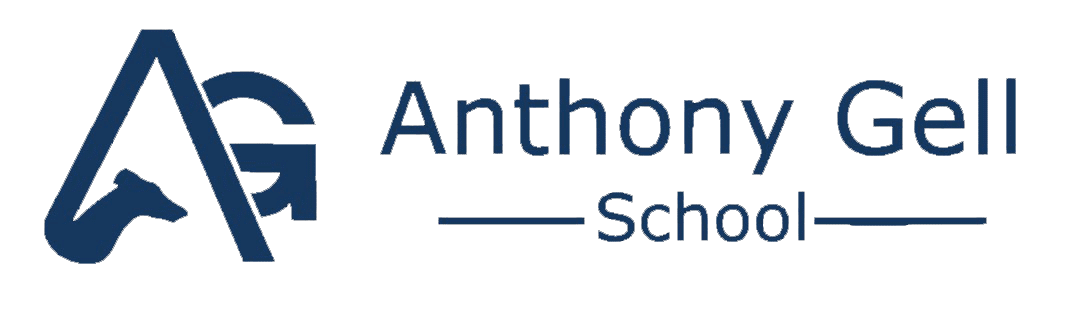 AGS-Light-Blue-Logo-Long-High-Res-(002)